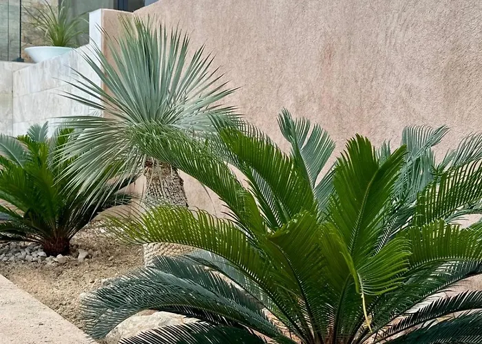 Perle De Giens Sur Presqu'ile De Giens 200 M De La Vue Exceptionnelle Villa *