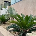 Perle De Giens Sur Presqu'ile De Giens 200 M De La Vue Exceptionnelle Villa *